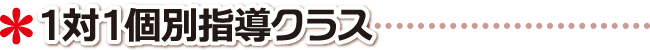 高松市 学習塾 理数科目１対１個別指導クラス