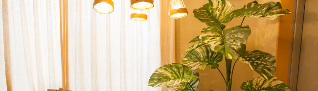 授業料（税別）