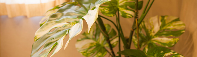 香川県 高松市 学習塾 | 慶応スクール 高松