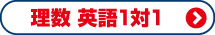 高校生 理数科目１対１個別指導について